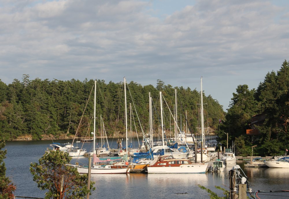 Silva Bay for Friday Night Dinner
